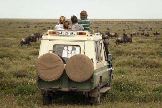 Usurpación de tierras masai